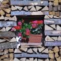 wood pile in Bavaria