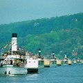 line of paddlesteamers by Dresden