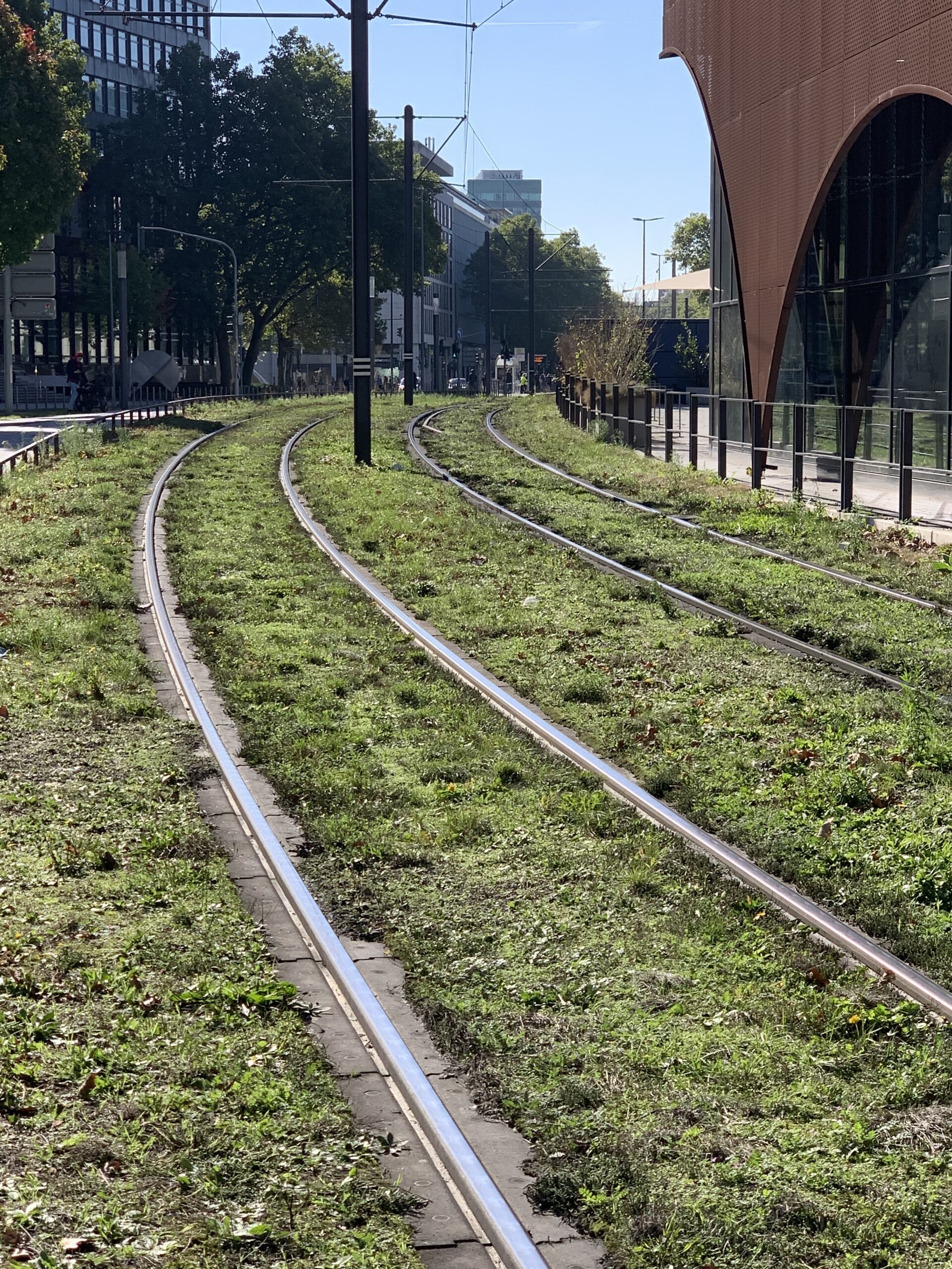 Düsseldorf does its best to be green at every opportunity